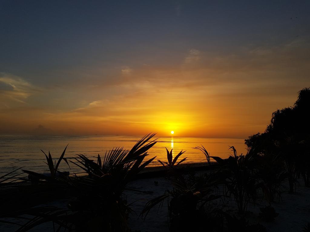 Island Guest Otel Maamendhoo Dış mekan fotoğraf