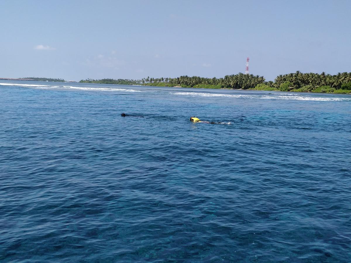 Island Guest Otel Maamendhoo Dış mekan fotoğraf